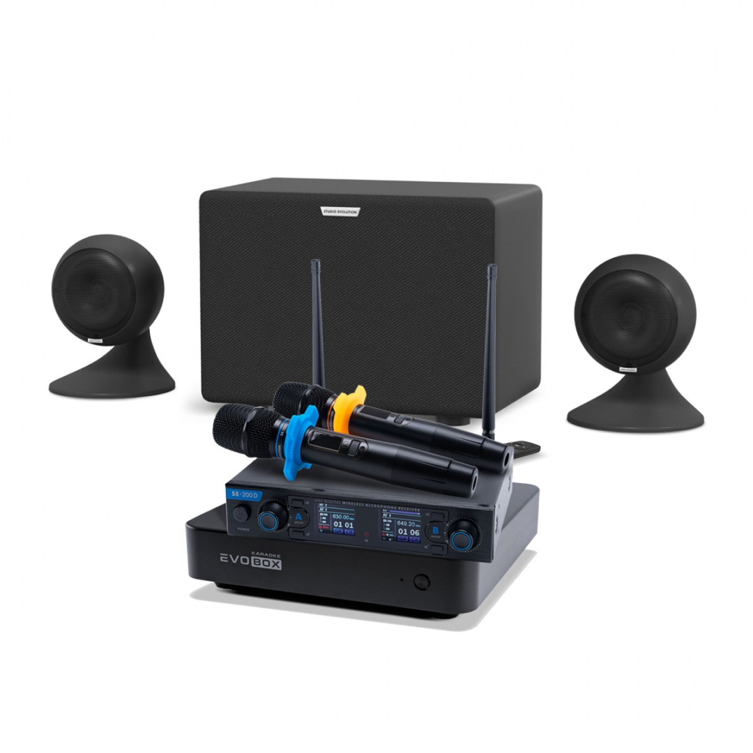 караоке-комплект EVOBOX + EvoSound Sphere 2.1 в Красноярском крае