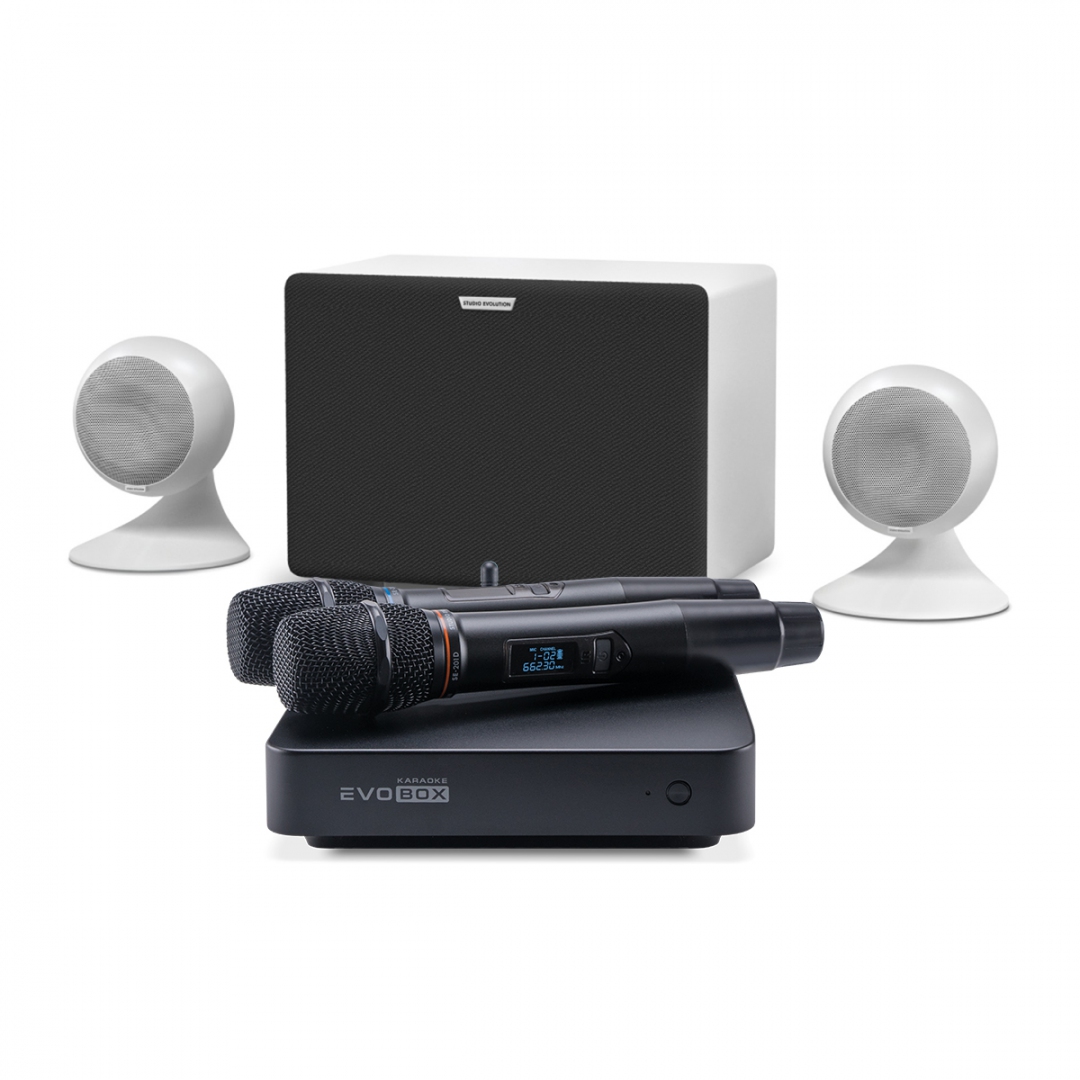 караоке-комплект EVOBOX Classic + EvoSound Sphere 2.1 в Красноярском крае