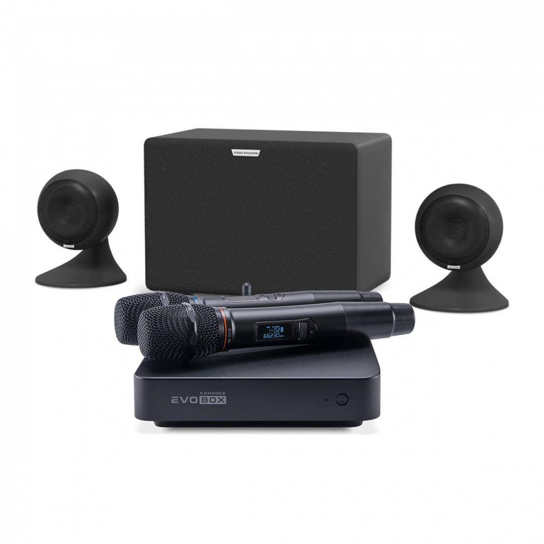 караоке-комплект EVOBOX Plus + EvoSound Sphere 2.1 в Красноярском крае