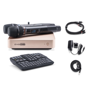 EVOBOX Classic караоке-система для дома в Красноярском крае